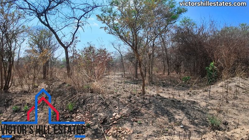 📍 5 ACRE LOT FOR SALE IN MEANWOOD NKOSI 4.2KM FROM THE ENTRANCE