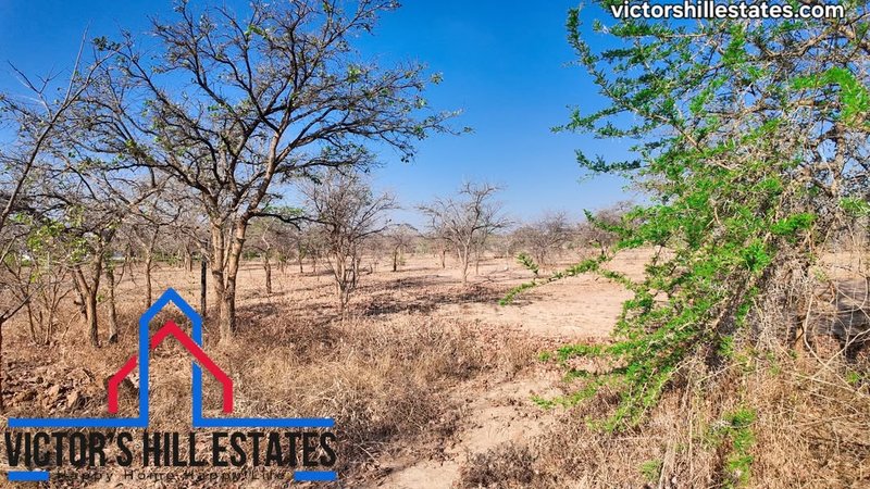 📍 1 ACRE PLOTS FOR SALE 400M OFF LEOPARDS HILL RD NEAR MUKAMUNYA