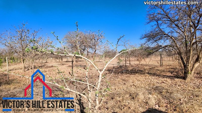 📍 1 ACRE PLOTS FOR SALE 400M OFF LEOPARDS HILL RD NEAR MUKAMUNYA