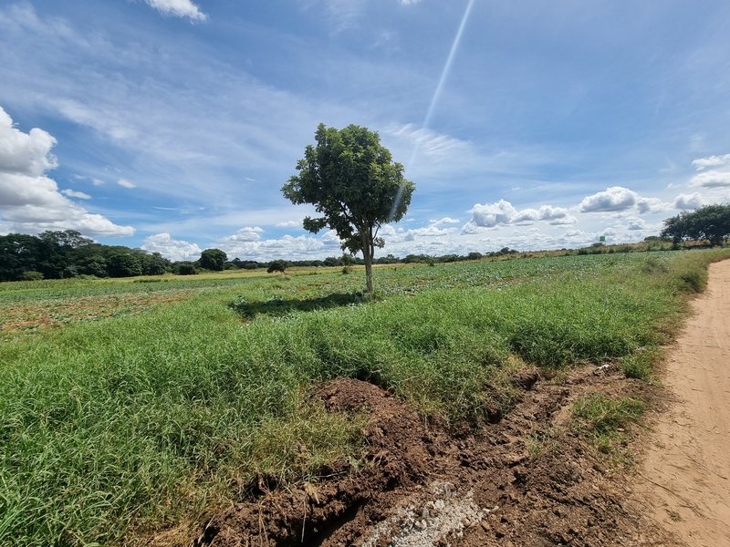 7 acre land on Offer letter