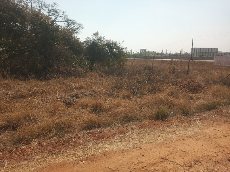 2.8 Hectares Road Frontage Titled Farm Land for Sale – Mwembeshi