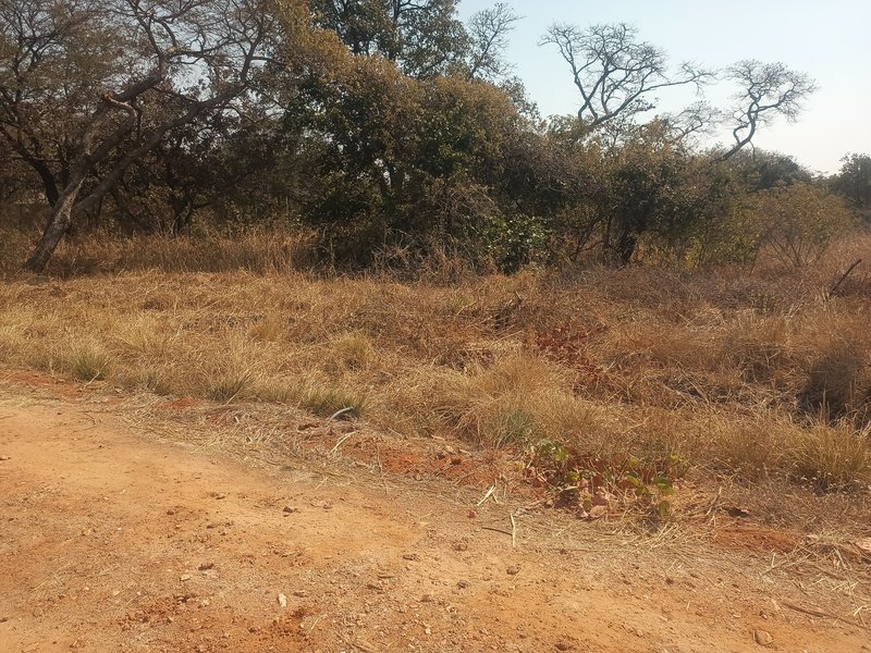 2.8 Hectares Road Frontage Titled Farm Land for Sale – Mwembeshi