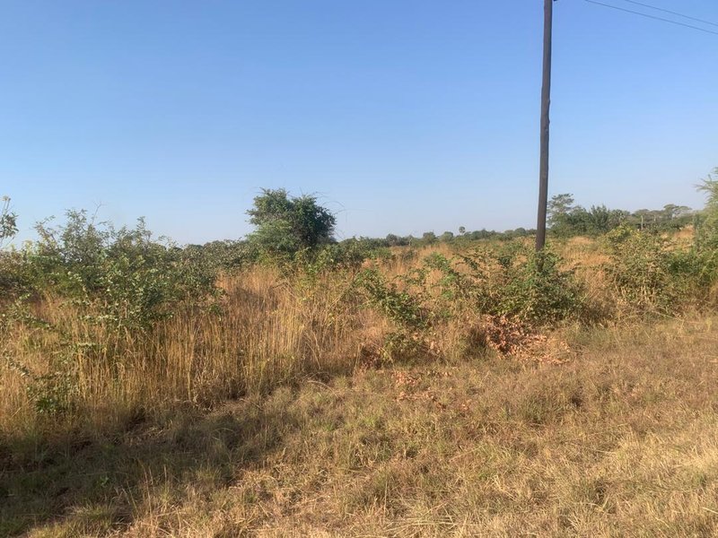 1-Acre Road Frontage Titled Farm Land for Sale – Mwembeshi