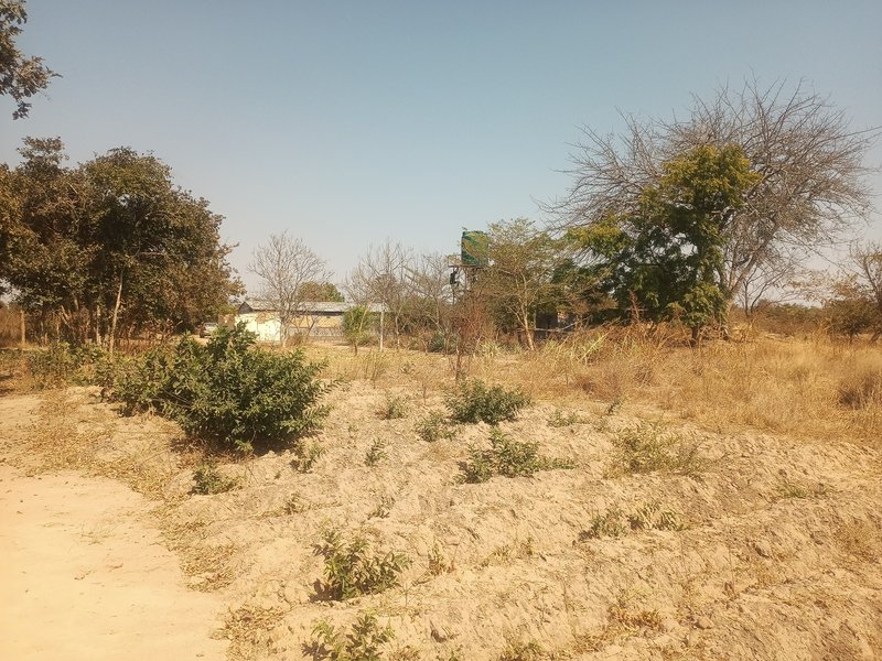 11-Hectare Road frontage Titled Farm for Sale – Shibuyunji