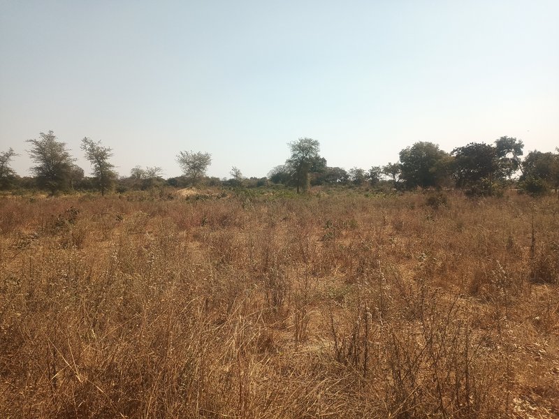 11-Hectare Road frontage Titled Farm for Sale – Shibuyunji