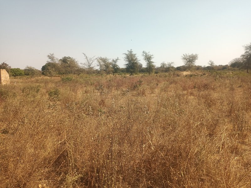 11-Hectare Road frontage Titled Farm for Sale – Shibuyunji