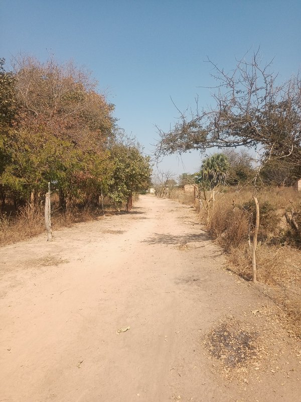11-Hectare Road frontage Titled Farm for Sale – Shibuyunji