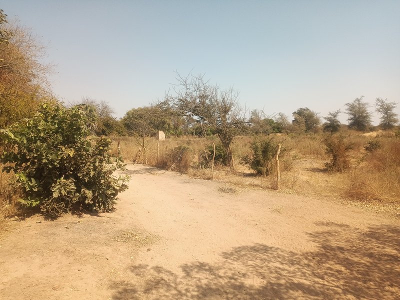 11-Hectare Road frontage Titled Farm for Sale – Shibuyunji