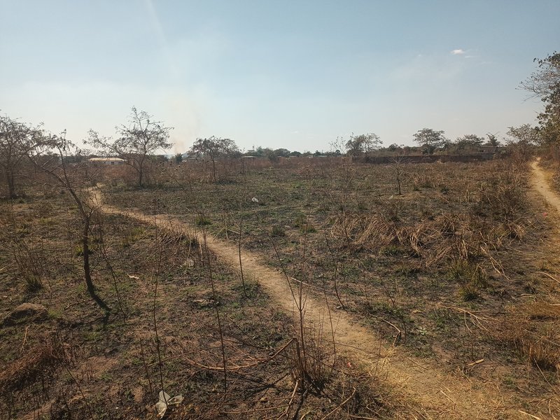 1.8 Hectare Farm – 15 Miles, LusakaGreat North Road | On Title