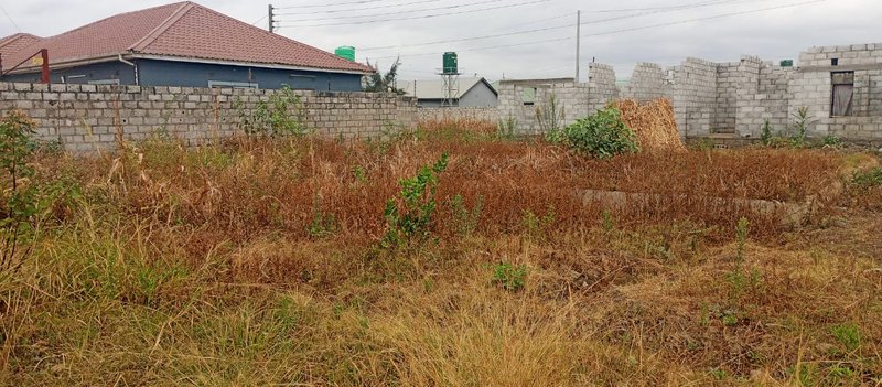 MEANWOOD CHAMBA VALLEY PHASE 3 PLOT