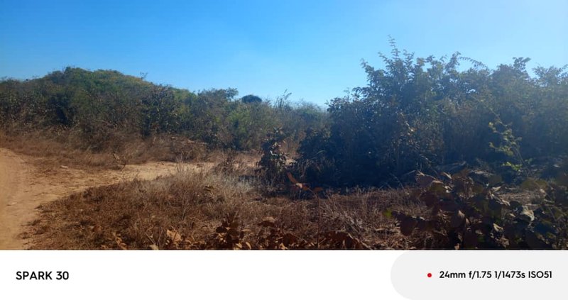 CHILANGA SHIMABALA PROPERTY