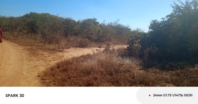 CHILANGA SHIMABALA PROPERTY