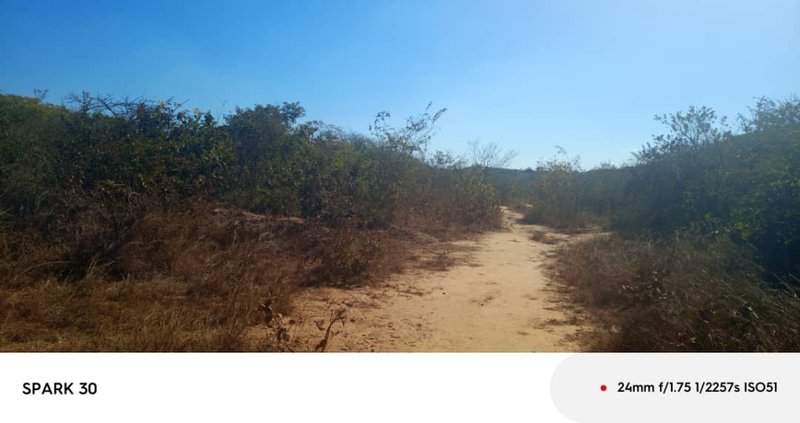 CHILANGA SHIMABALA PROPERTY