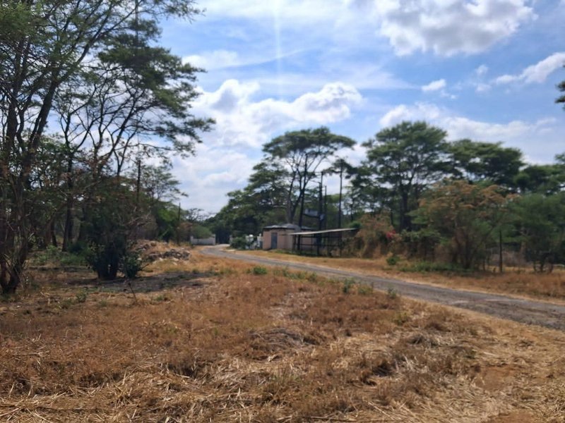 Three Acres For Sale, Leopards Hill