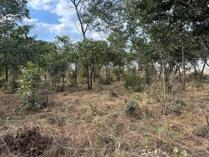 One Acre For Sale, Chifwema