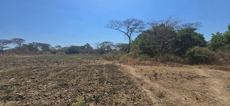 Five Acre plots For Sale