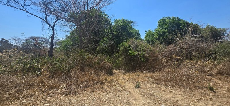 Five Acre plots For Sale