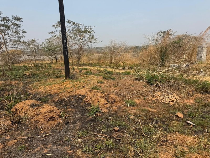 Plot For Sale, State Lodge