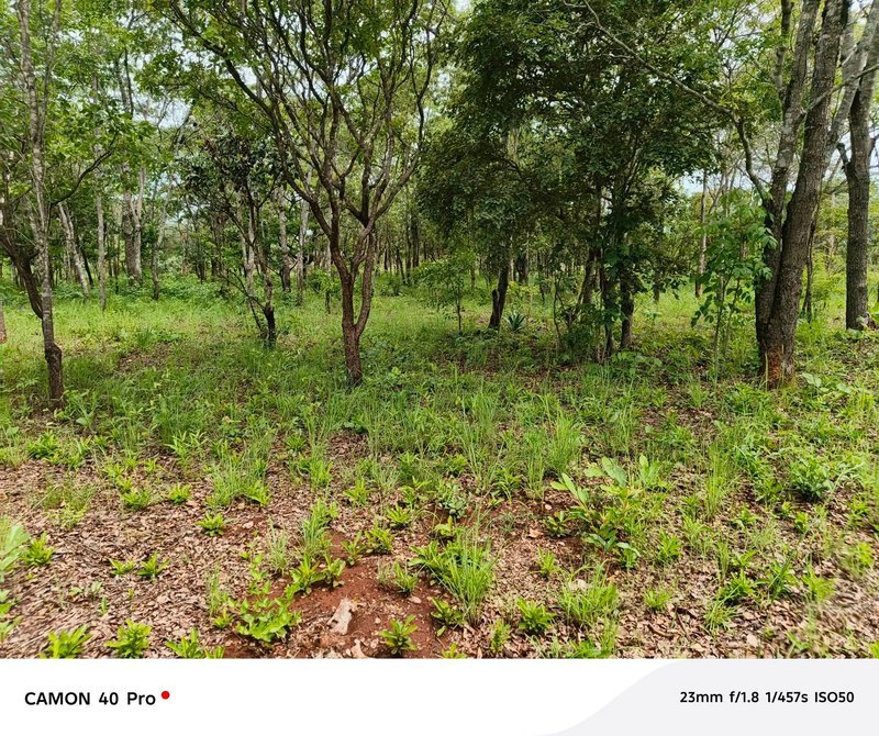 💥SALE SALE'💥LEOPARDS HILL|OFF CHIFWEMA|TWO (2) ACRES LAND FOR SALE|PER ACRE K1.5M