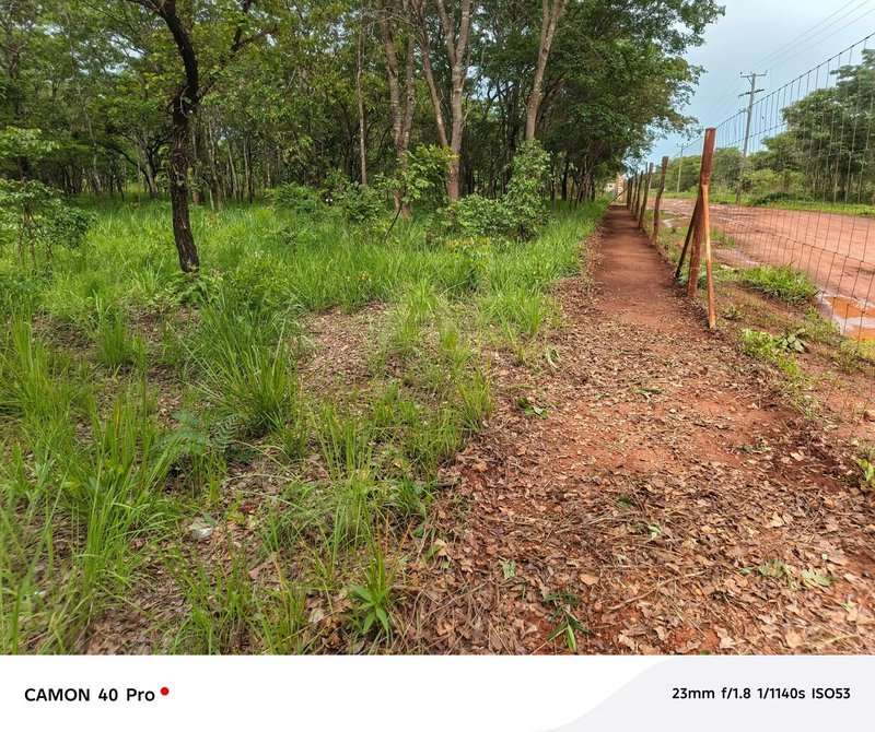 💥SALE SALE'💥LEOPARDS HILL|OFF CHIFWEMA|TWO (2) ACRES LAND FOR SALE|PER ACRE K1.5M