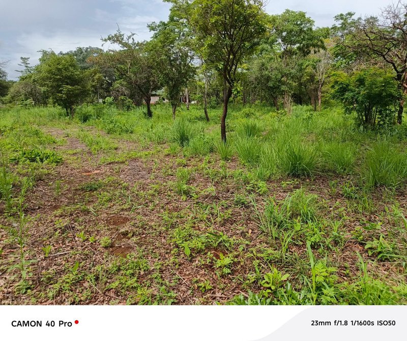 💥SALE SALE'💥LEOPARDS HILL|OFF CHIFWEMA|TWO (2) ACRES LAND FOR SALE|PER ACRE K1.5M