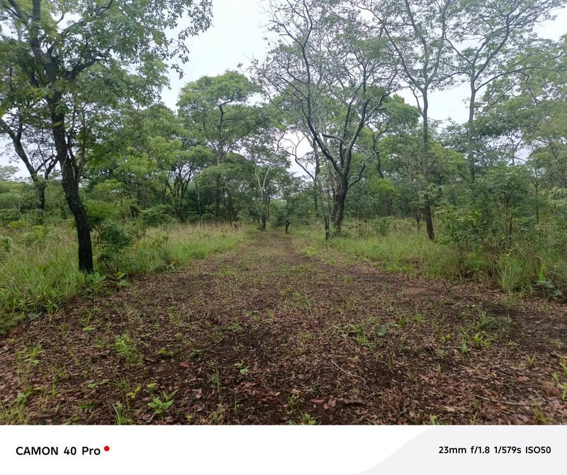 LEOPARDS HILL| FOUR (4) ACRE LAND|SUBDIVISION PER ACRE|SALE|