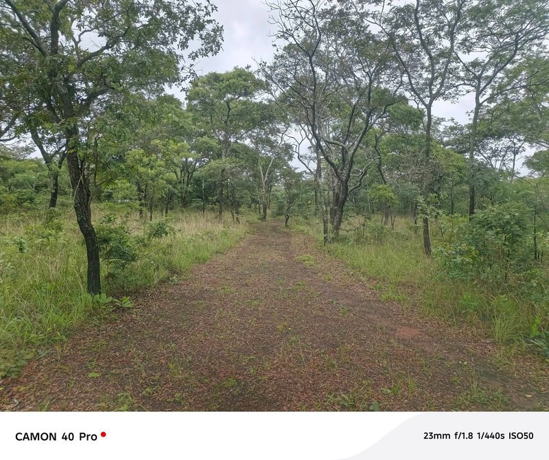 LEOPARDS HILL| FOUR (4) ACRE LAND|SUBDIVISION PER ACRE|SALE|