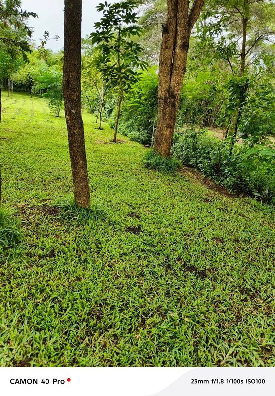 LEOPARDS HILL AREA|NEAR MONKEY POOL|LAND FOR SALE|{2ACRES}|