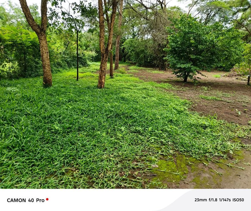 LEOPARDS HILL AREA|NEAR MONKEY POOL|LAND FOR SALE|{2ACRES}|