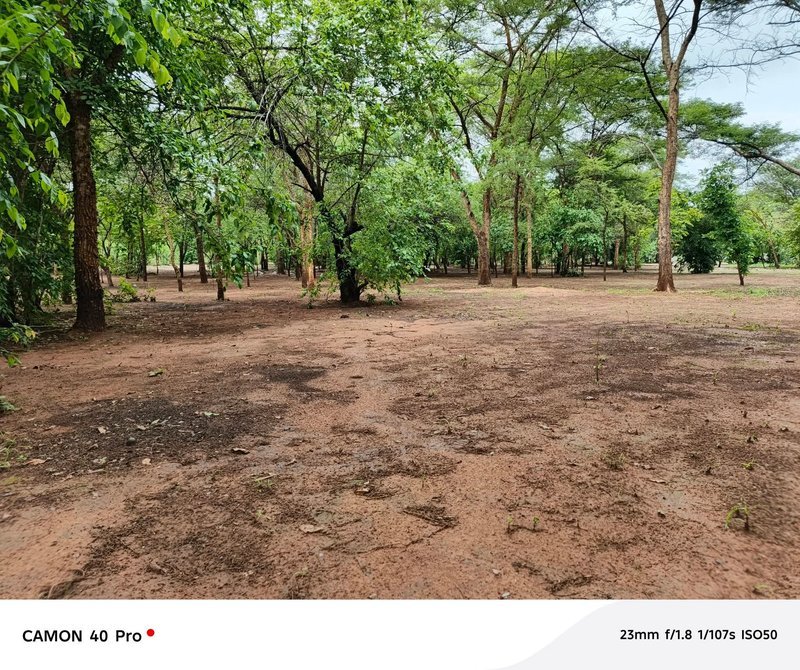 LEOPARDS HILL AREA|NEAR MONKEY POOL|LAND FOR SALE|{2ACRES}|
