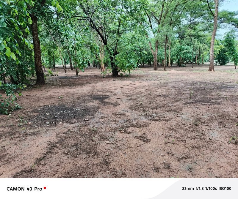 LEOPARDS HILL AREA|NEAR MONKEY POOL|LAND FOR SALE|{2ACRES}|