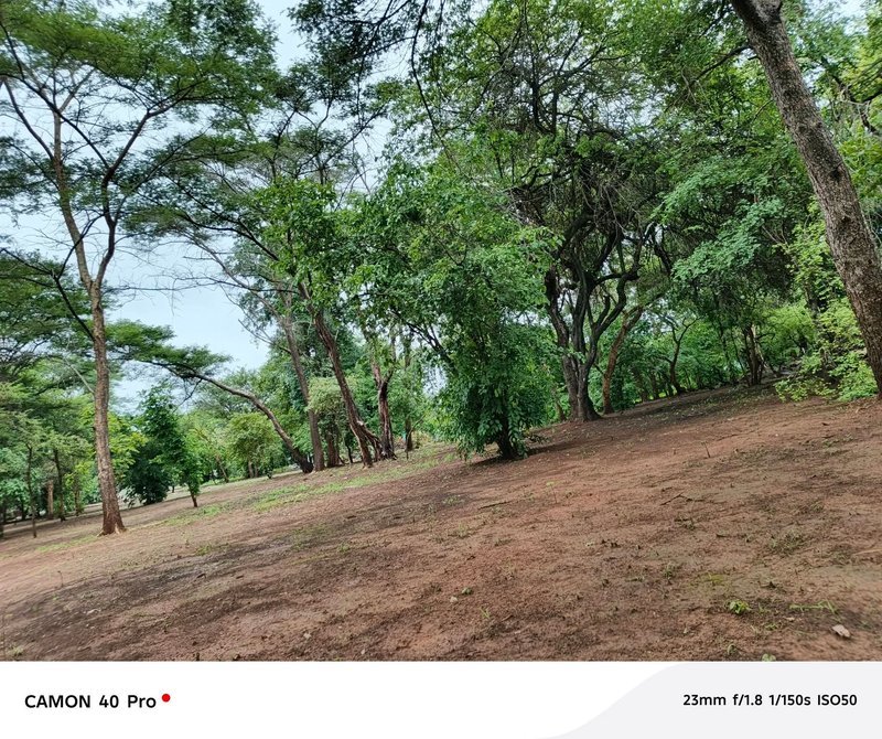 LEOPARDS HILL AREA|NEAR MONKEY POOL|LAND FOR SALE|{2ACRES}|