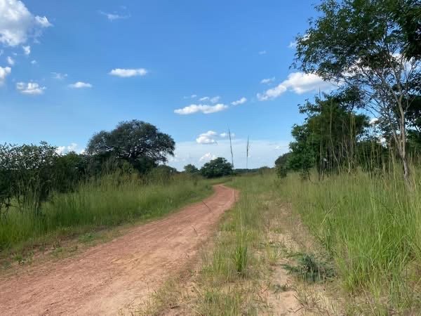 STATE LODGE PRIME LAND