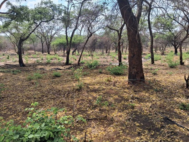3 Acres serviced plot| Mukamunya Est| Off leopard Hill Rd| $165,000|
