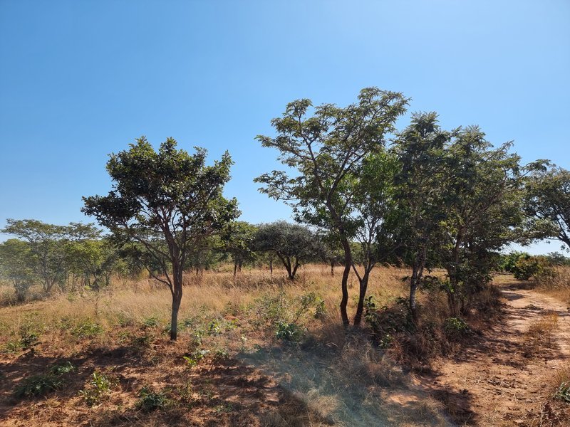 5 acre land for sale in Mikango, New kasama