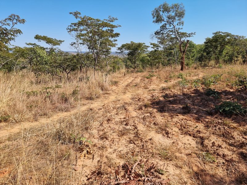 5 acre land for sale in Mikango, New kasama