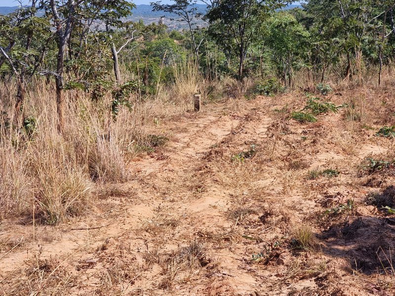 5 acre land for sale in Mikango, New kasama