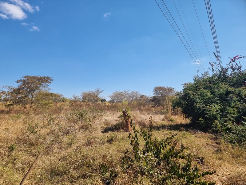 3.7 acre road front plot for sale
