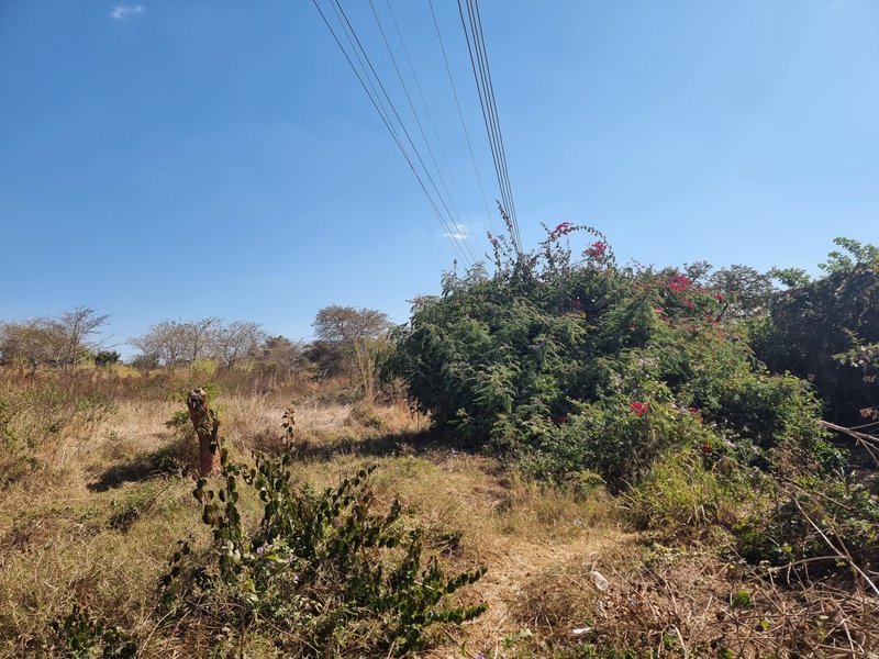 3.7 acre road front plot for sale