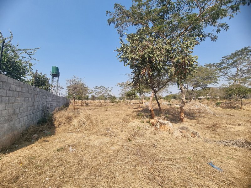 1 acre plot for sale, near CASA Bambino