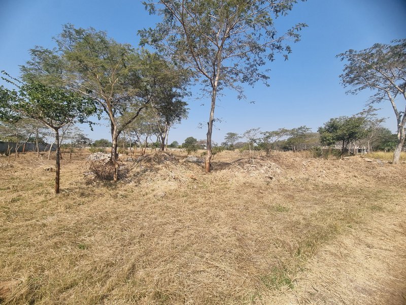 1 acre plot for sale, near CASA Bambino