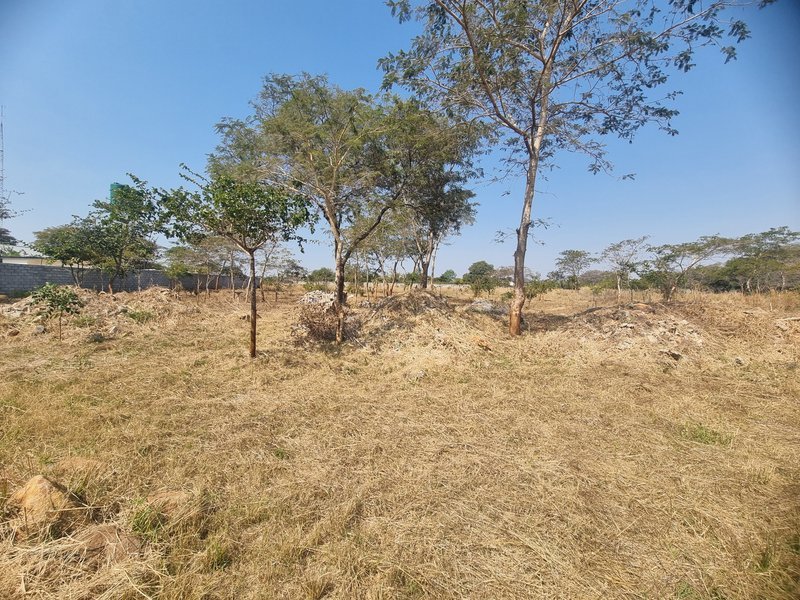1 acre plot for sale, near CASA Bambino