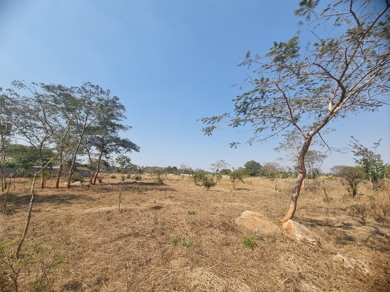 1 acre plot for sale, near CASA Bambino