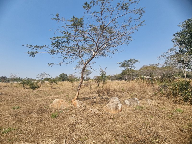 1 acre plot for sale, near CASA Bambino