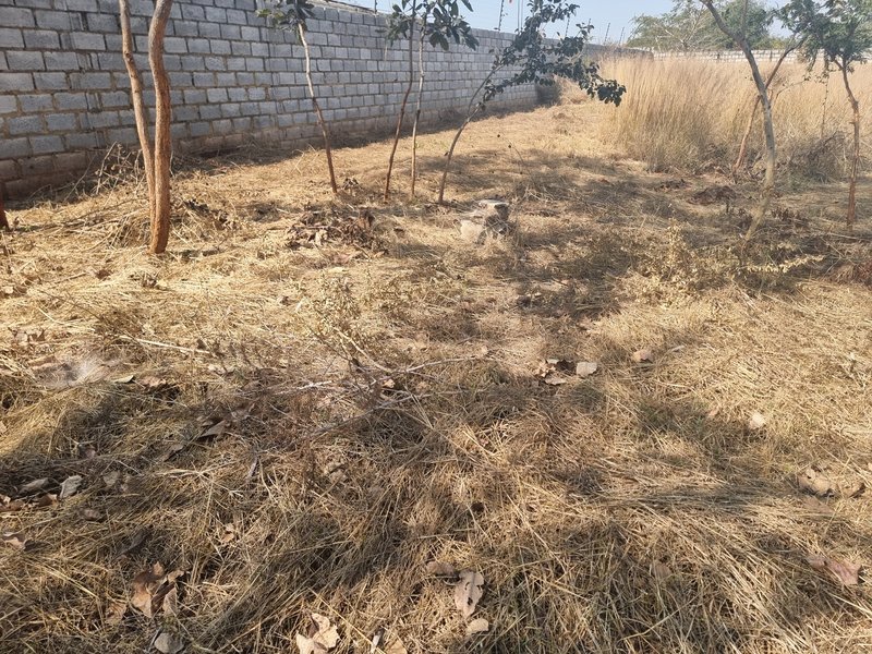 1 acre plot for sale, near CASA Bambino
