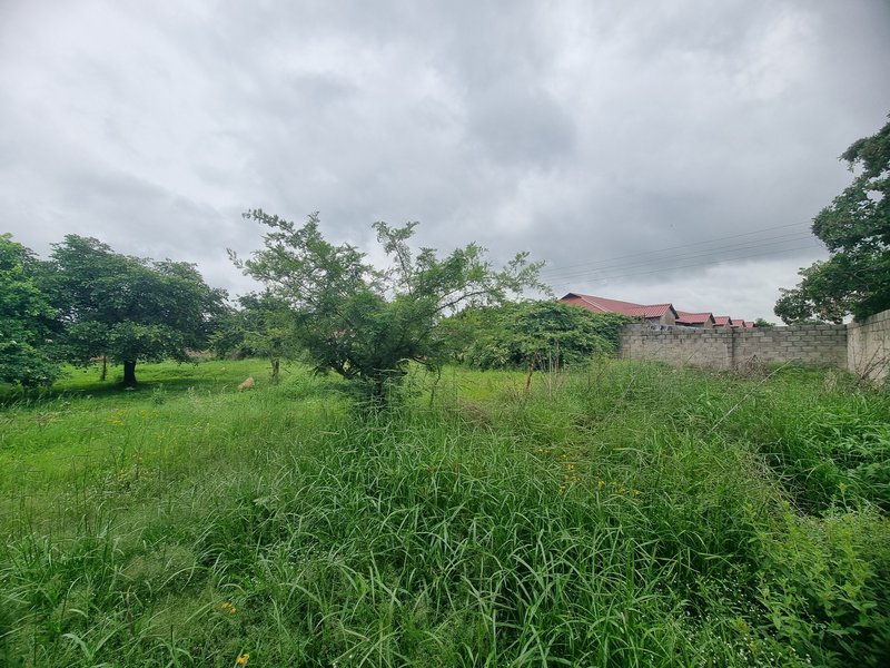 1 acre plot for sale in New Kasama