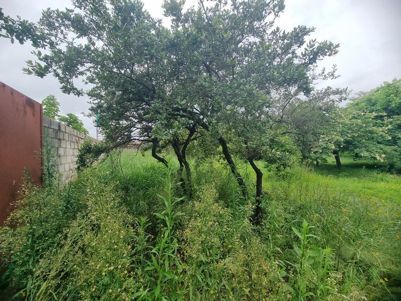 1 acre plot for sale in New Kasama