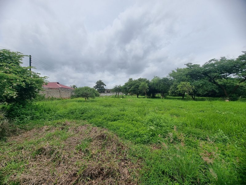 1 acre plot for sale in New Kasama