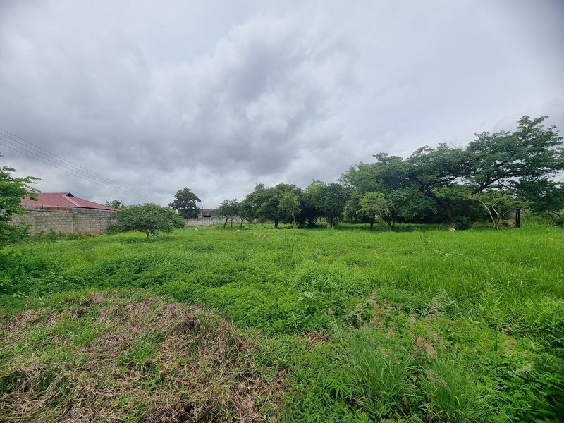 1 acre plot for sale in New Kasama