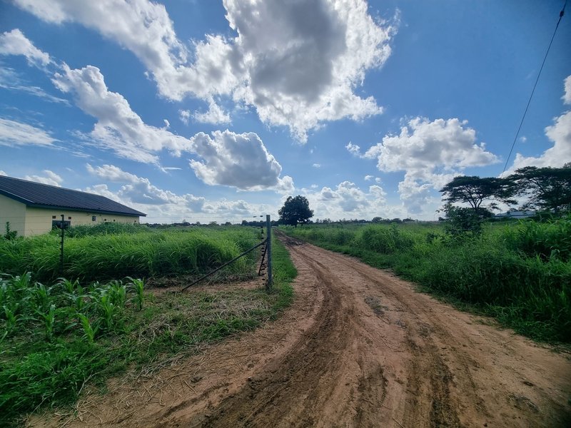 Residential plot up for quick sale